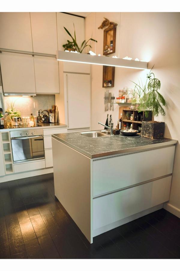 Lovely, 1898 Jugendstil Design Apartment, Old Haarlem City Centre, Fully Renovated With Parkview Near Amsterdam And Zandvoort, Bloemendaal Beach Buitenkant foto