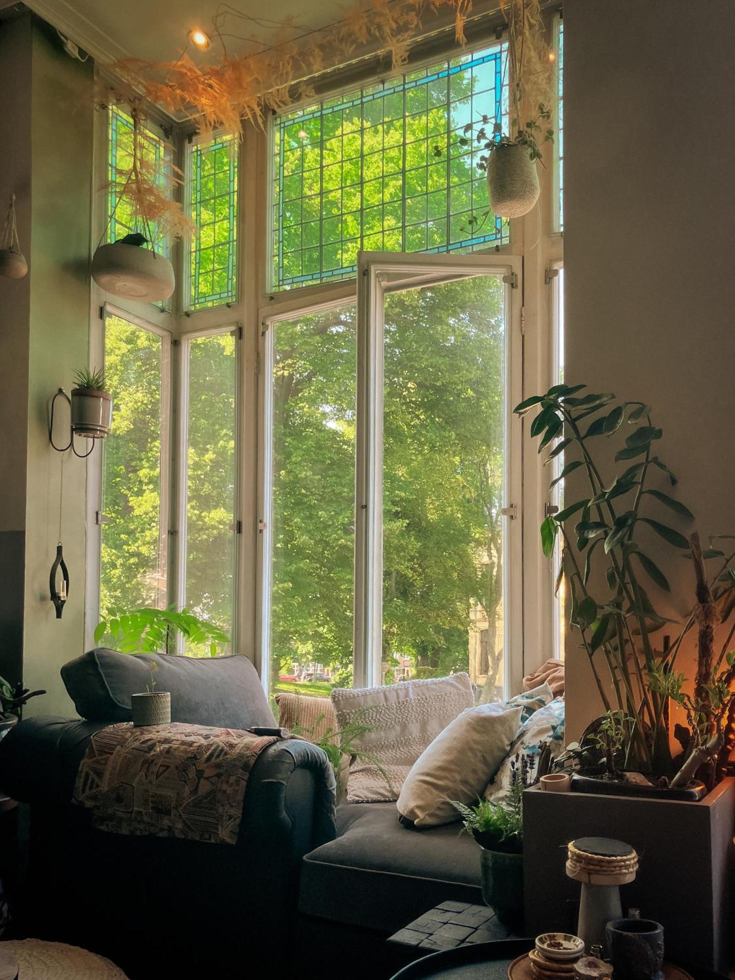 Lovely, 1898 Jugendstil Design Apartment, Old Haarlem City Centre, Fully Renovated With Parkview Near Amsterdam And Zandvoort, Bloemendaal Beach Buitenkant foto